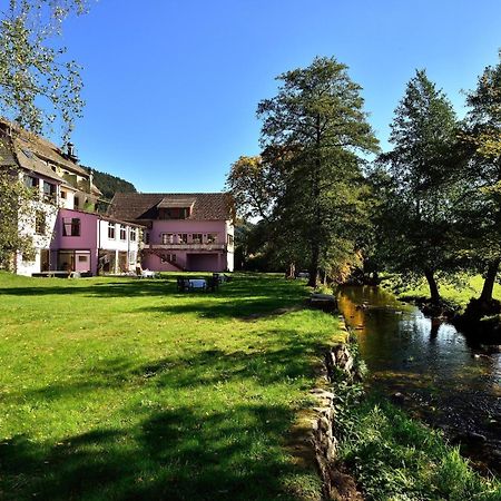 Logis Hotel Des Vosges Sewen Exterior photo